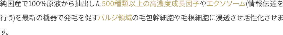 純国産で100%原液から抽出した500種類以上の高濃度成長因子やエクソソーム(情報伝達を行う)を最新の機器で発毛を促す頭皮のバルジ領域の毛包幹細胞や毛根細胞に浸透させ活性化させます。